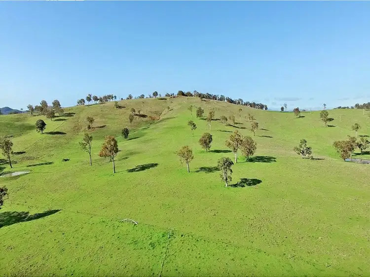 Fifth view of Homely rural property listing, 603 Snakes Valley Road, Tenterfield NSW 2372