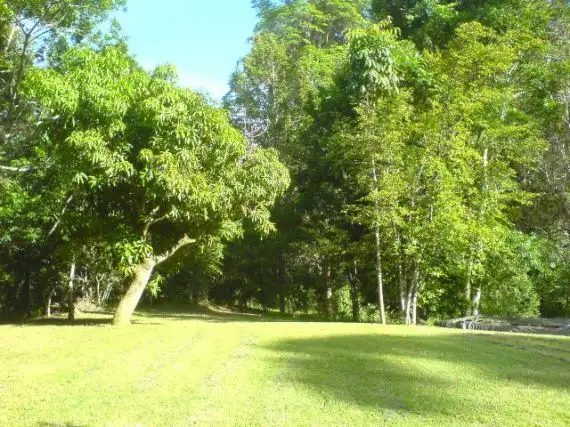 Seventh view of Homely rural property listing, 768 Hyde Crk Rd Valery, Bellingen NSW 2454
