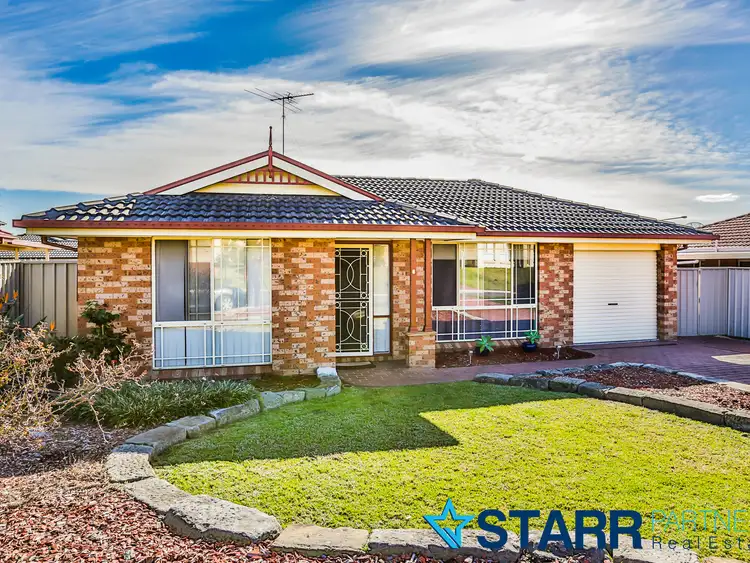 Main view of Homely house listing, 6 Winston Place, Narellan Vale NSW 2567