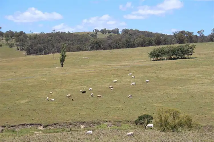 Sixth view of Homely rural property listing, 640 Scrub Road, Tenterfield NSW 2372