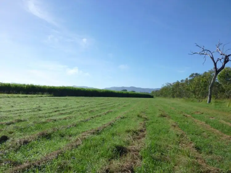 Fifth view of Homely rural property listing, Address available on request