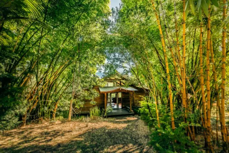 Seventh view of Homely rural property listing, 30 John Locke Place, Bellingen NSW 2454