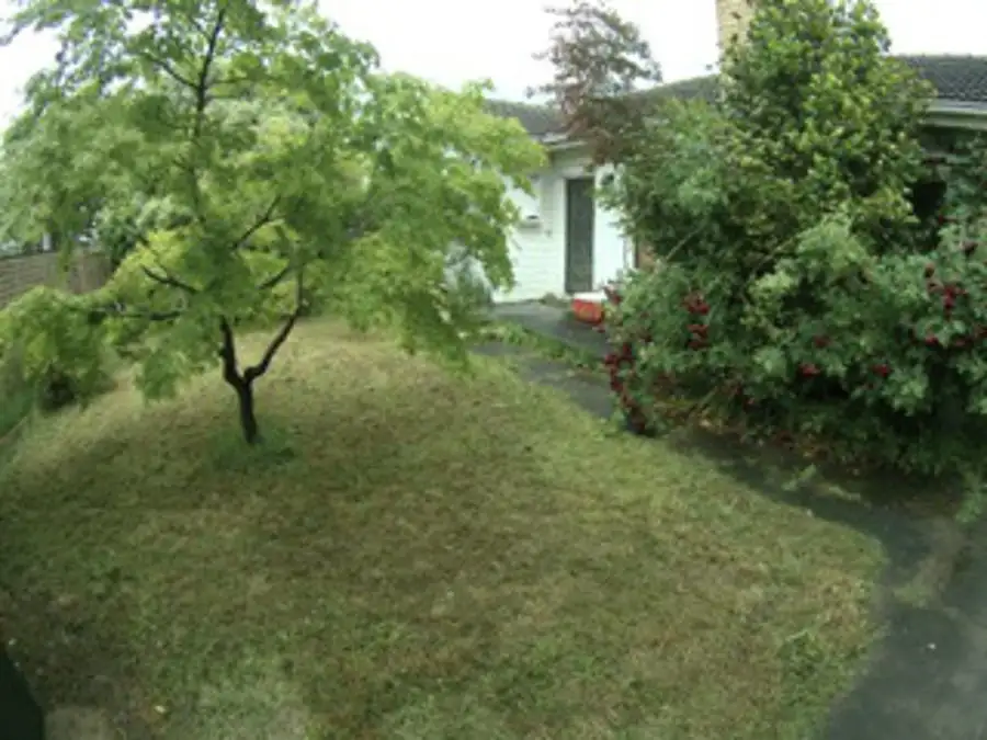 Main view of Homely house listing, 157 Dorking Road, Box Hill North VIC 3129