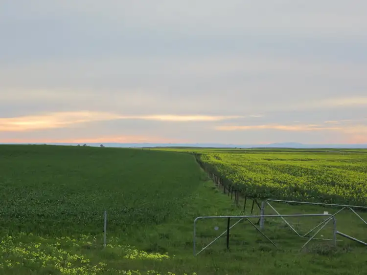 Second view of Homely rural property listing, Princes Highway, Wellington East SA 5259