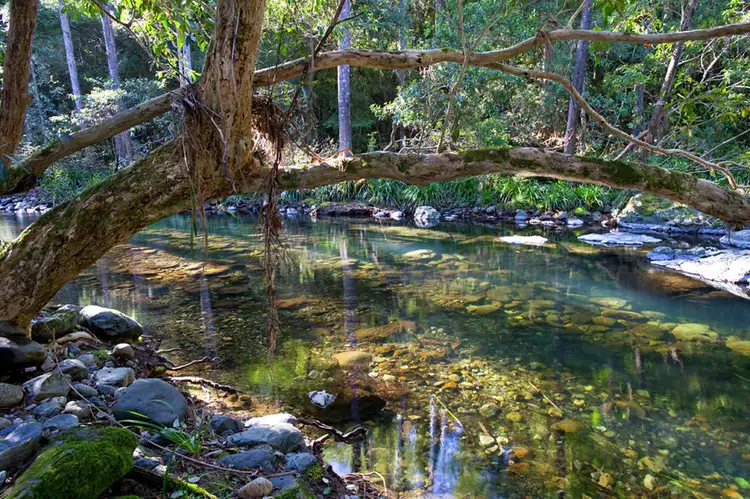 Sixth view of Homely house listing, 45 Little North Arm Road, Thora, Bellingen NSW 2454