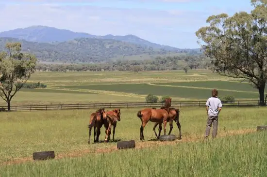 Sixth view of Homely rural property listing, Address available on request