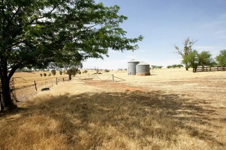 Third view of Homely rural property listing, 738 Pikedale Road, Old Junee NSW 2652