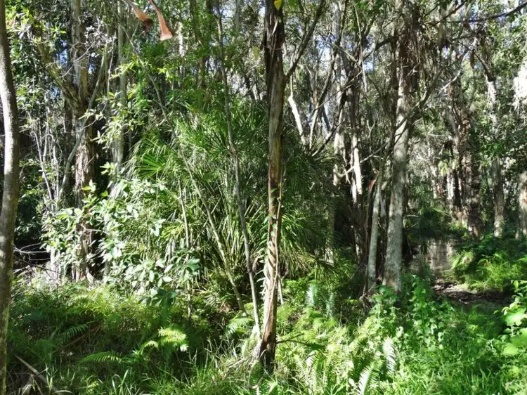 Seventh view of Homely rural property listing, Lot 69 Fingerfield Road, Rules Beach QLD 4674
