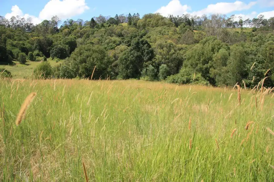 Main view of Homely rural property listing, Address available on request