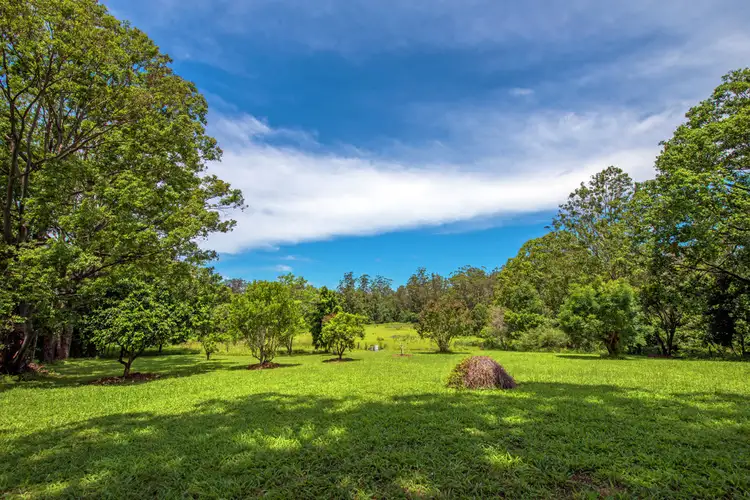 Seventh view of Homely house listing, 138 Promised Land Loop Road, Bellingen NSW 2454