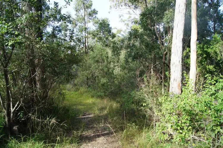 Seventh view of Homely rural property listing, 319 Dirty Creek Road, Dirty Creek NSW 2456