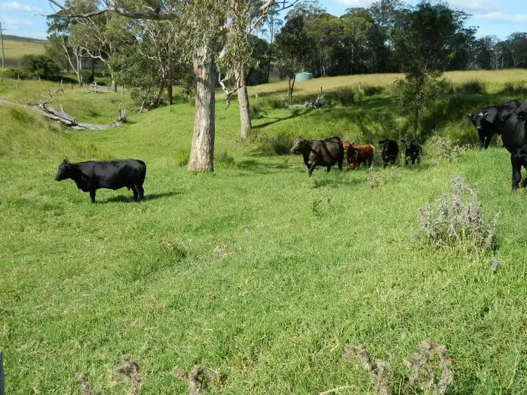 Fourth view of Homely land listing, 99 Byers Rd, Crows Nest QLD 4355