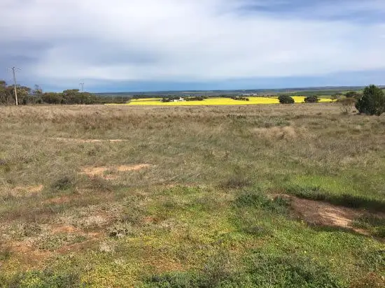 2998 Randell Road, Mannum SA 5238