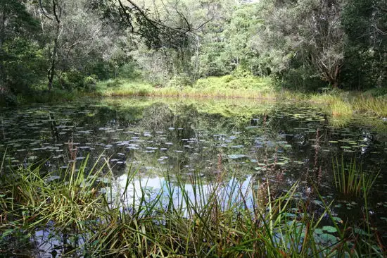 Main view of Homely land listing, 1412 Mossman - Mount Molloy Road, Julatten QLD 4871