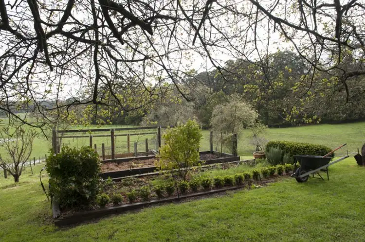 Fifth view of Homely rural property listing, 170 Caspers Access, Forrest VIC 3236