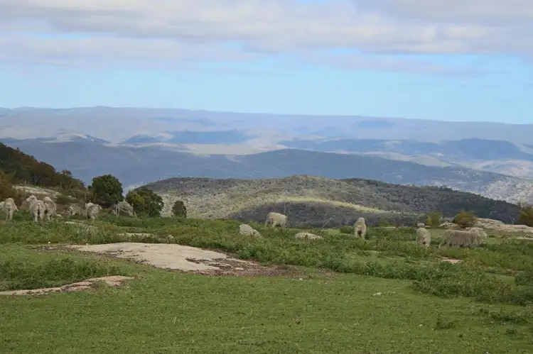 Fourth view of Homely rural property listing, 466 Gunyah Road, Tenterfield NSW 2372