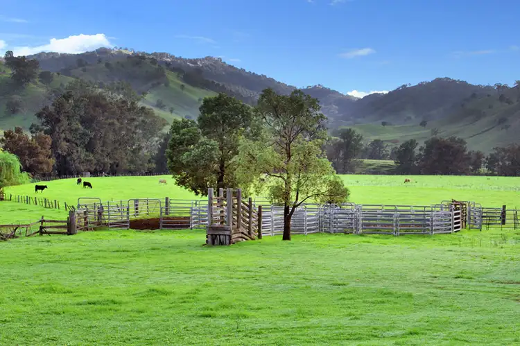 Third view of Homely rural property listing, 210 Glencoe Road, Rouchel NSW 2336