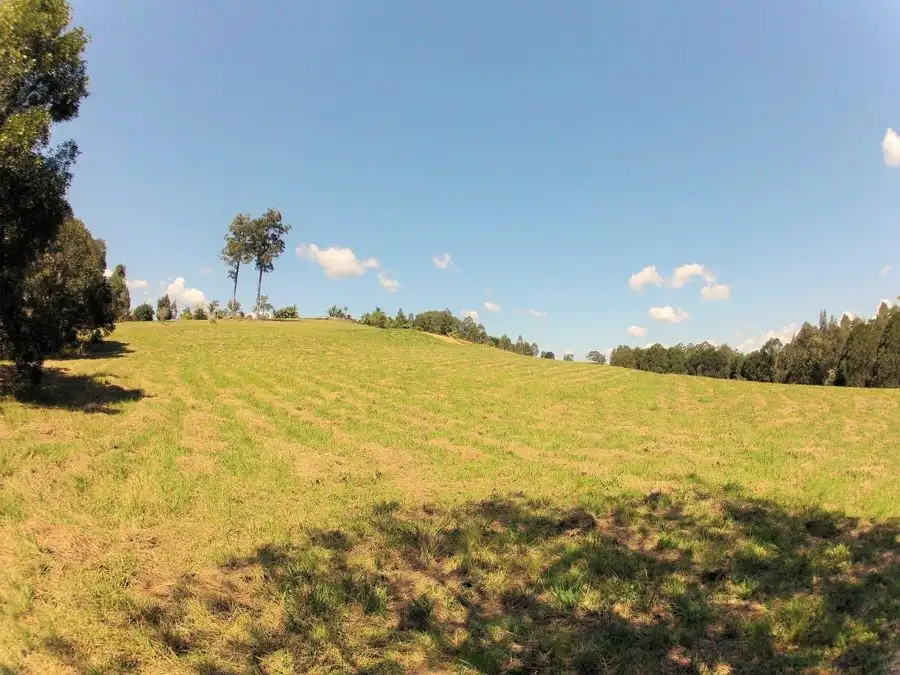 Main view of Homely land listing, 37 Edinburgh Court, East Deep Creek QLD 4570