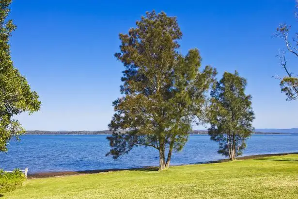 Fifth view of Homely house listing, 5A Raffertys Road, Cams Wharf NSW 2281