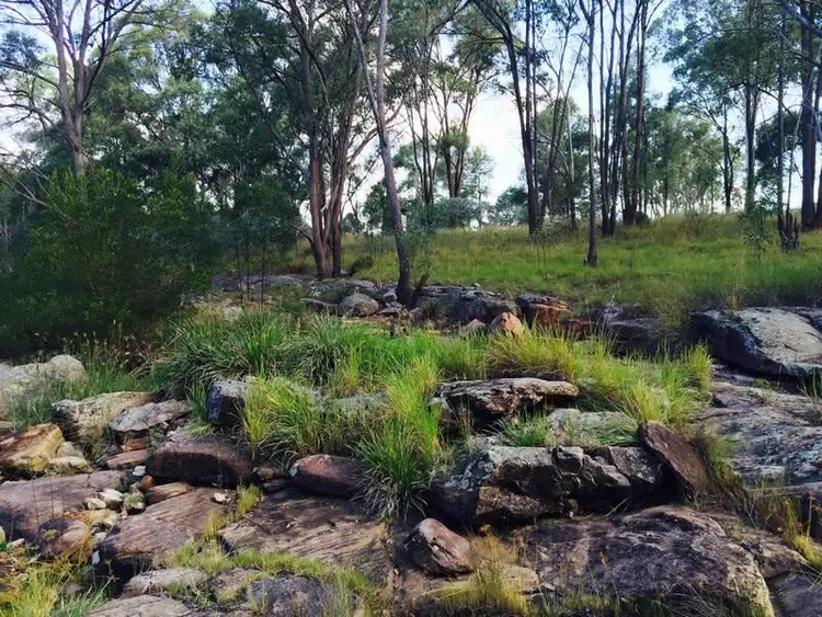 Sixth view of Homely land listing, 2 Nielsen Street, Crows Nest QLD 4355
