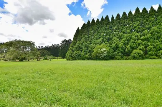 Seventh view of Homely land listing, 214 Mountain View Road, Maleny QLD 4552