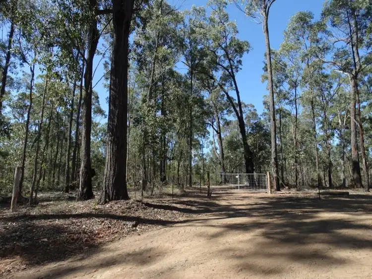 Third view of Homely rural property listing, 201 Rothman Road, Rosedale QLD 4674