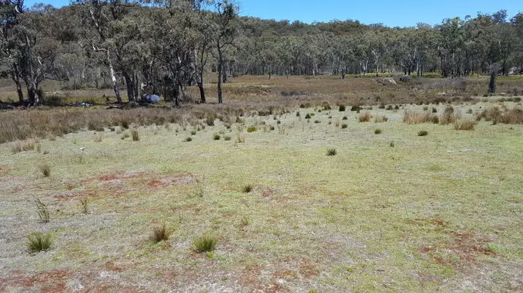996 Mount Mitchell Road, Backwater NSW 2365