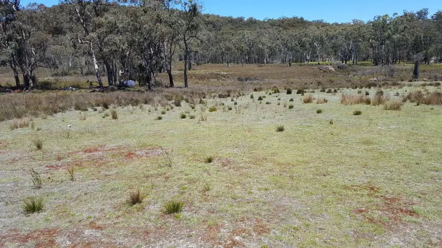 Main view of Homely rural property listing, 996 Mount Mitchell Road, Backwater NSW 2365