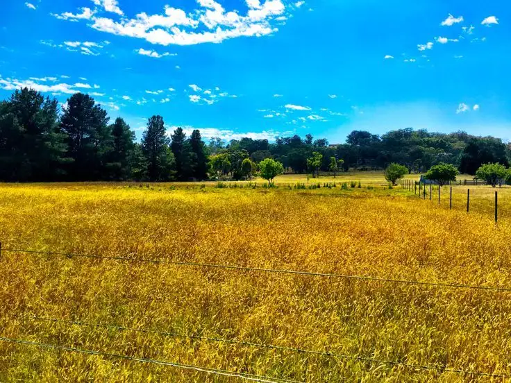 Second view of Homely land listing, 55 Barloo Road, Armidale NSW 2350