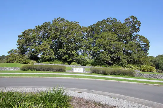 Sixth view of Homely land listing, 6 Gill Court, Mudgeeraba QLD 4213