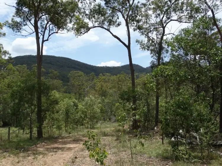 Fourth view of Homely rural property listing, 909 Hills Road, Mount Maria QLD 4674