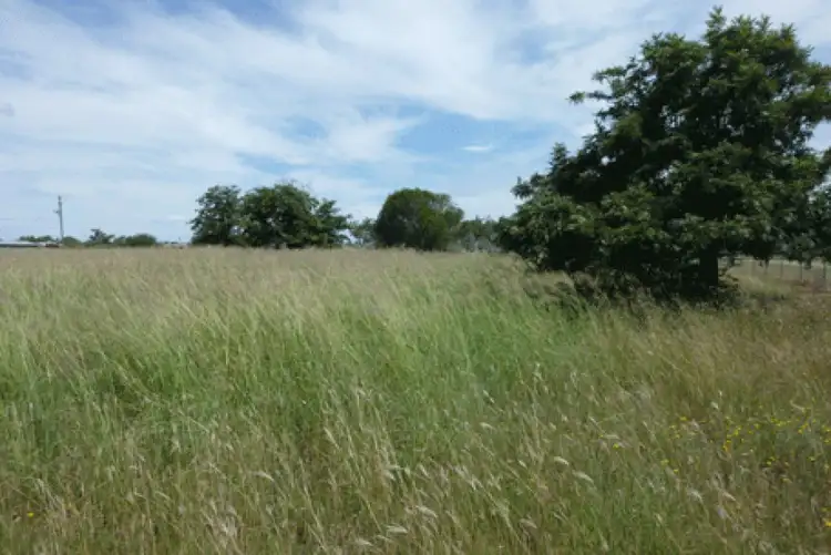 Seventh view of Homely rural property listing, 64 Ridds Lane, Winton NSW 2344