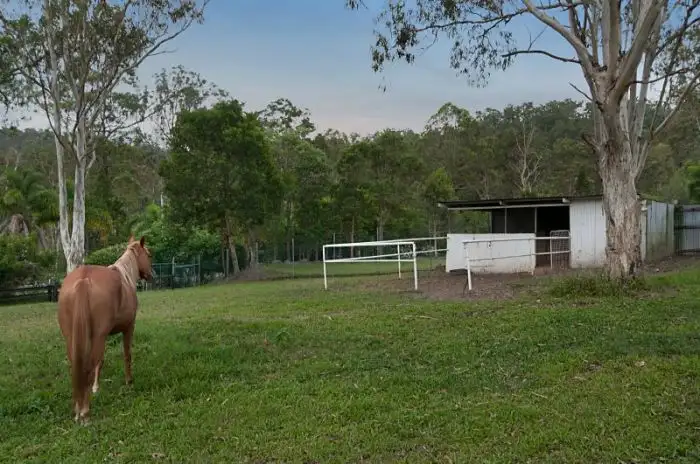 Second view of Homely rural property listing, 65 Kriedeman Rd, Upper Coomera QLD 4209