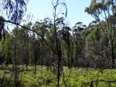 Main view of Homely land listing, Lot 1 Schofields Road, Murdunna TAS 7178