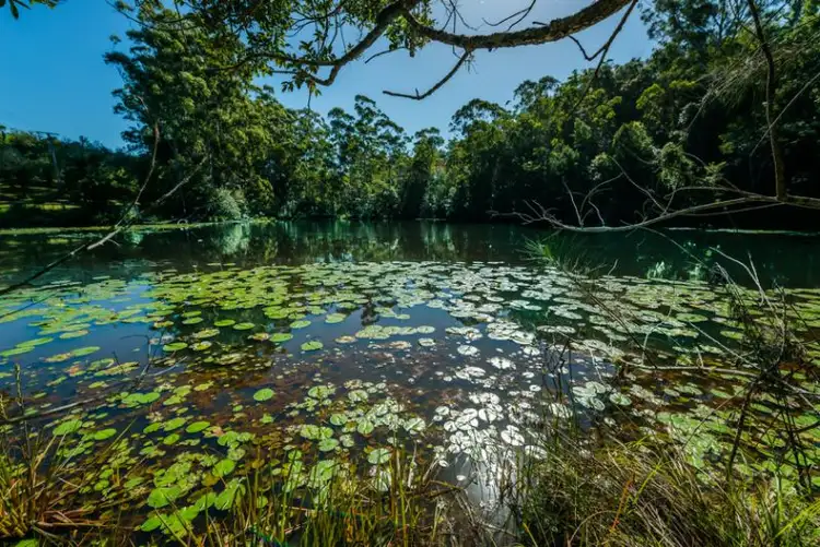 Fifth view of Homely rural property listing, 468 Sullivans Road, Valla NSW 2448
