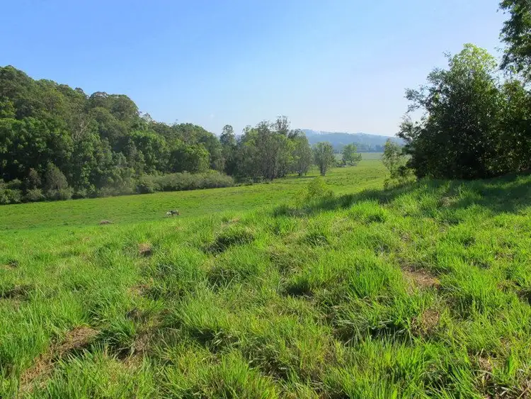 Second view of Homely land listing, 217 Mount St, Fernmount NSW 2454