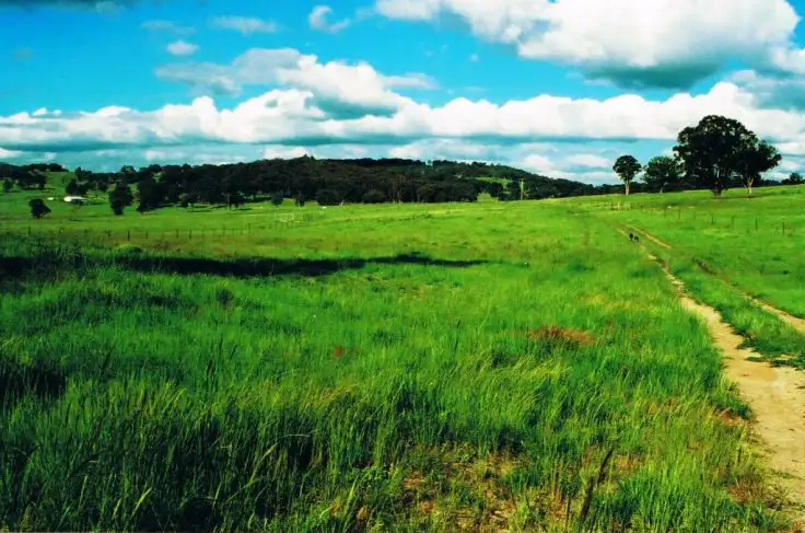 Second view of Homely rural property listing, 524 Westbrook  Road, Guyra NSW 2365