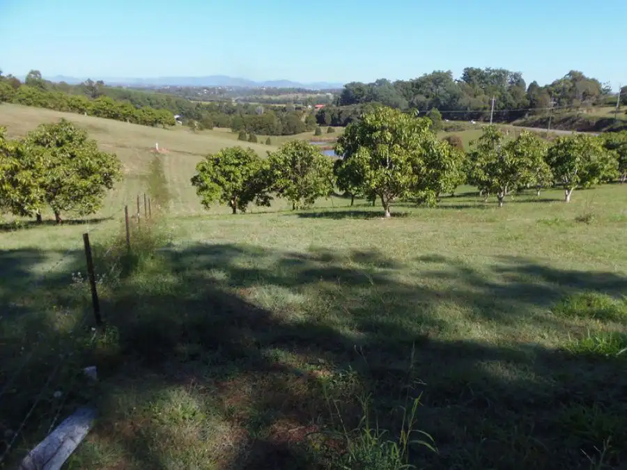 Main view of Homely land listing, 115 Grecian Bends Road, Greens Creek QLD 4570
