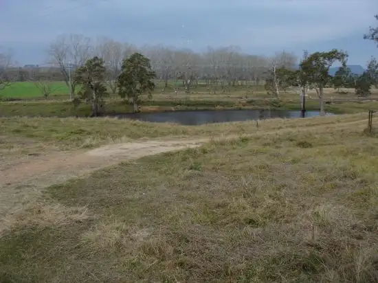 Fifth view of Homely rural property listing, 1354 Plain Station Rd, Tabulam NSW 2469
