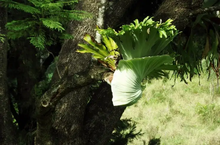 Fifth view of Homely rural property listing, Address available on request