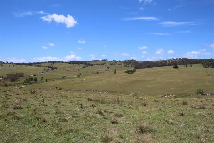Seventh view of Homely rural property listing, 640 Scrub Road, Tenterfield NSW 2372