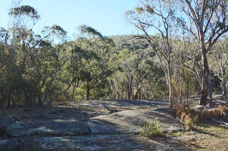 Fourth view of Homely rural property listing, 1331 Mount Mackenzie Road, Tenterfield NSW 2372