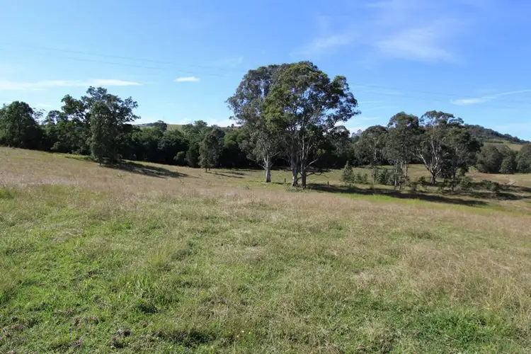 Fourth view of Homely rural property listing, 1454 Willina Rd, Bunyah NSW 2429
