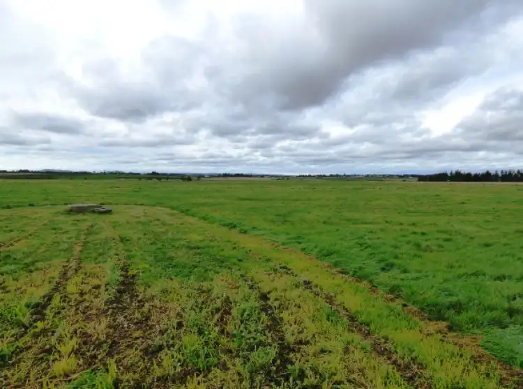 Second view of Homely rural property listing, 125 Bo Peep Road, Burrumbeet VIC 3352