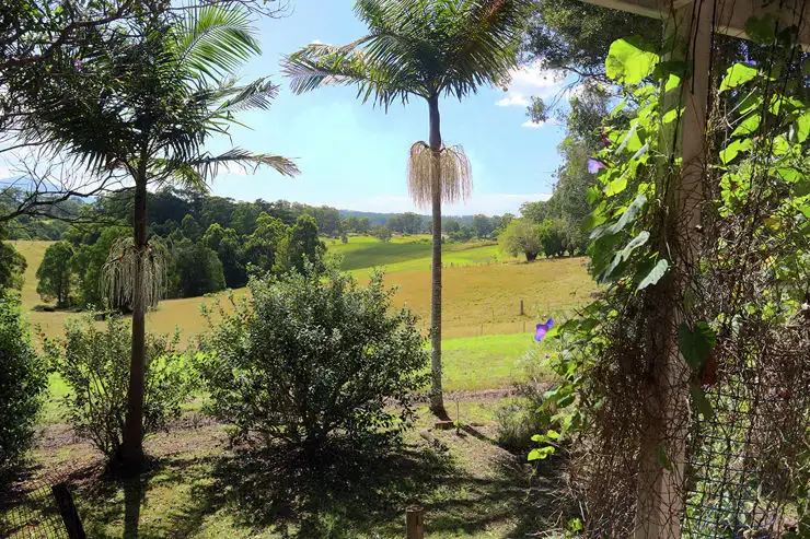 Main view of Homely rural property listing, 67 Wirrimbi Road, Newee Creek NSW 2447