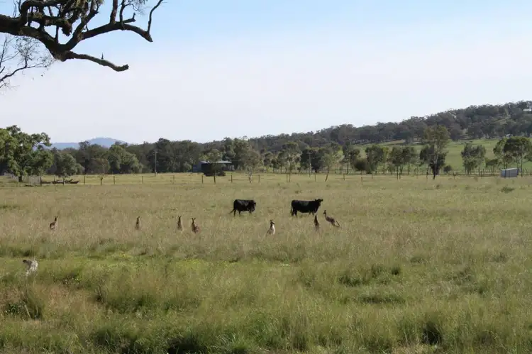 Seventh view of Homely land listing, 350 Bunnan Road, Scone NSW 2337