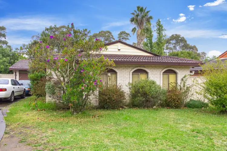 Address available on request