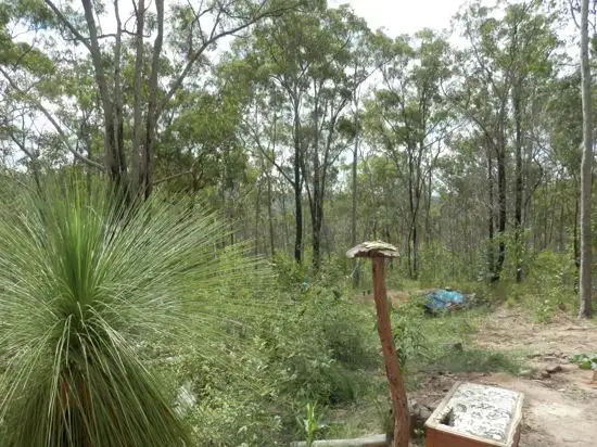 Seventh view of Homely rural property listing, Lot 144 Sugarbag Rd, Tabulam NSW 2469