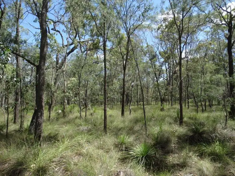 Fifth view of Homely rural property listing, Lot 177 Oceanna Drive, Deepwater QLD 4674