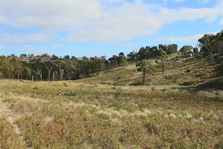 Seventh view of Homely rural property listing, 350 Gunyah Road, Tenterfield NSW 2372